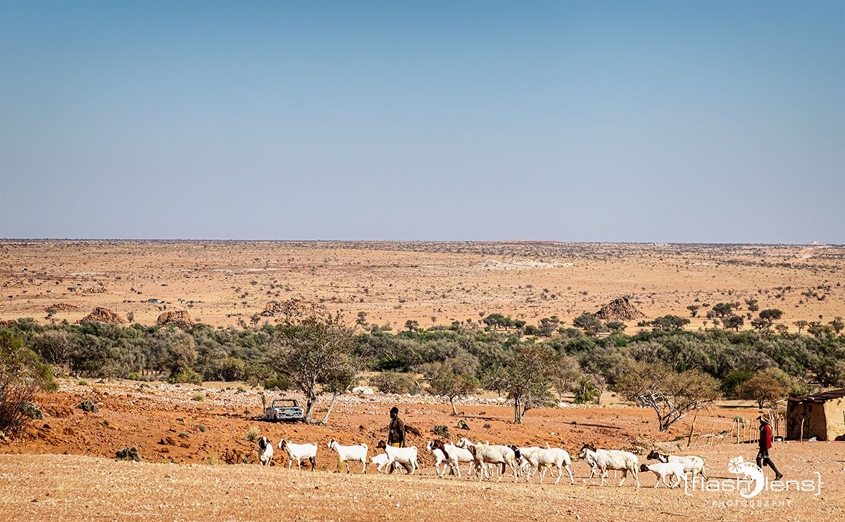 brandberg 002