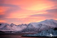 tromso 2022 011