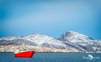 tromso 2022 041