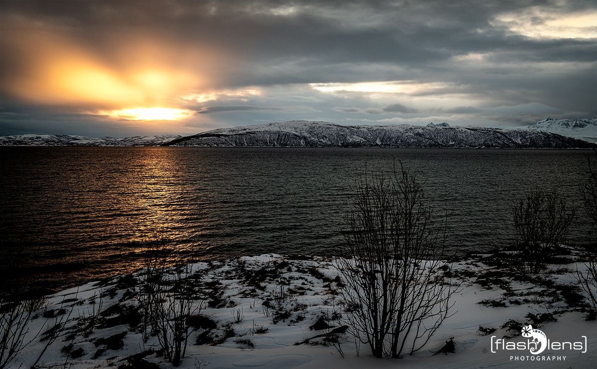 tromso 2022 042