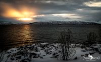 tromso 2022 042