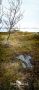 lofoten 2022 009