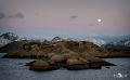 lofoten 2022 014