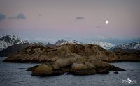 lofoten 2022 014