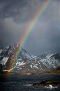 lofoten 2022 019