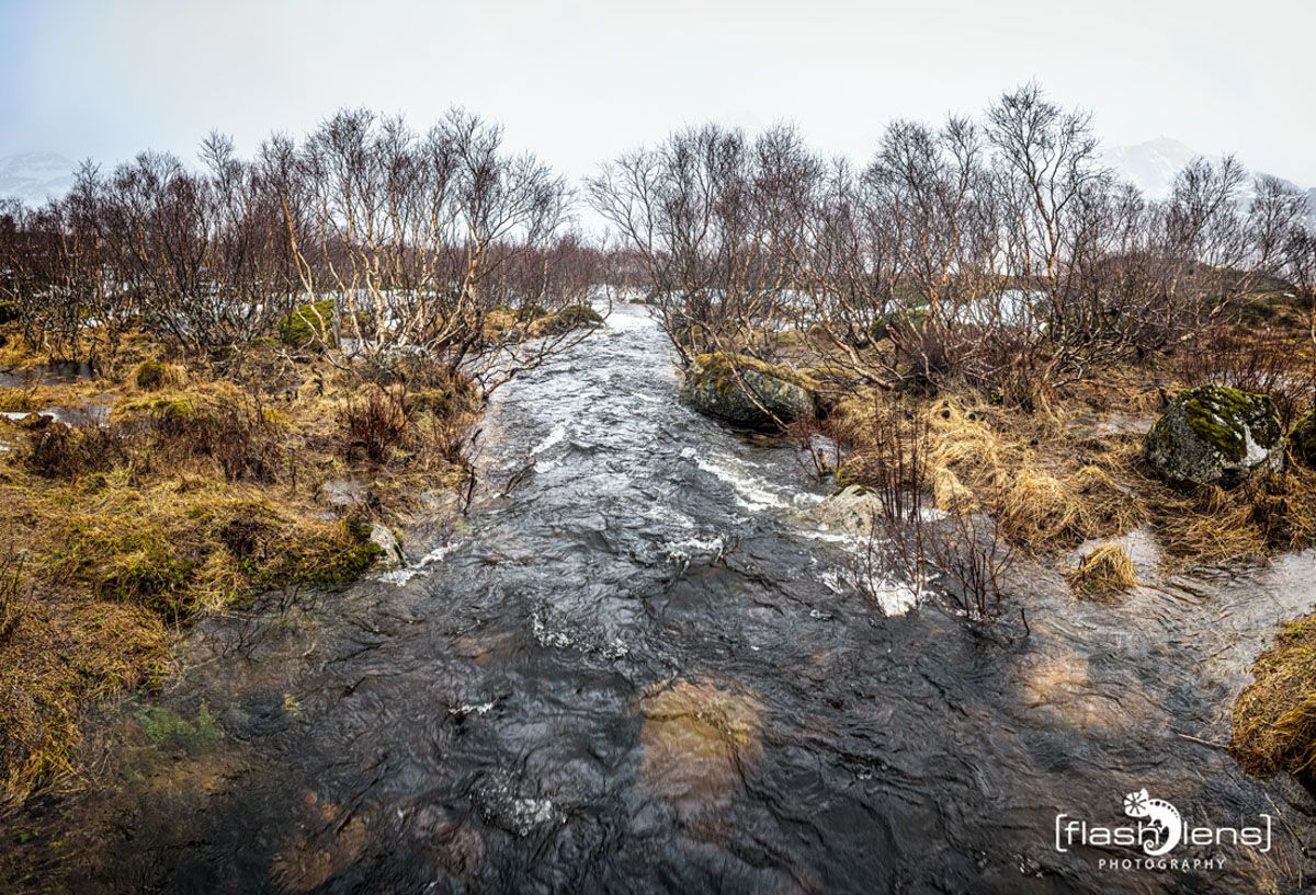lofoten 2022 061