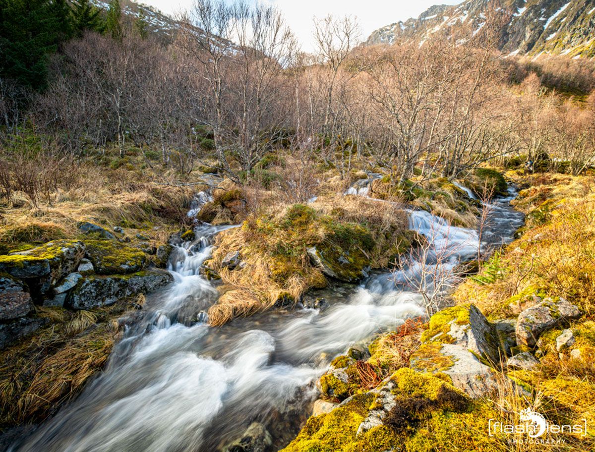 lofoten 2022 062