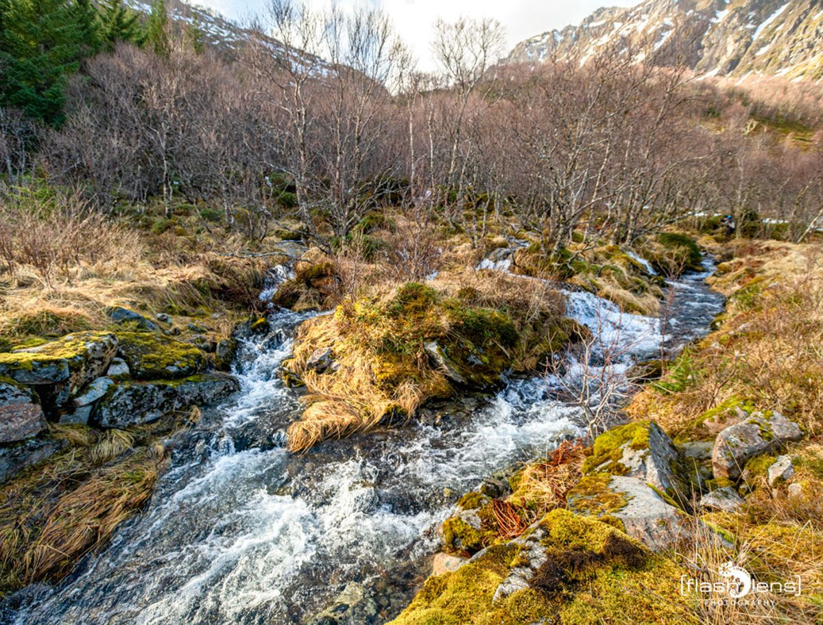 lofoten 2022 063