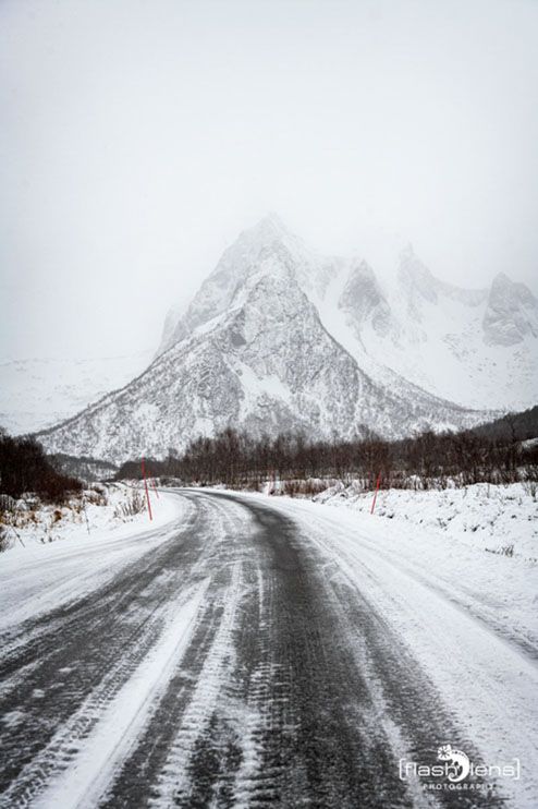 lofoten 2022 106