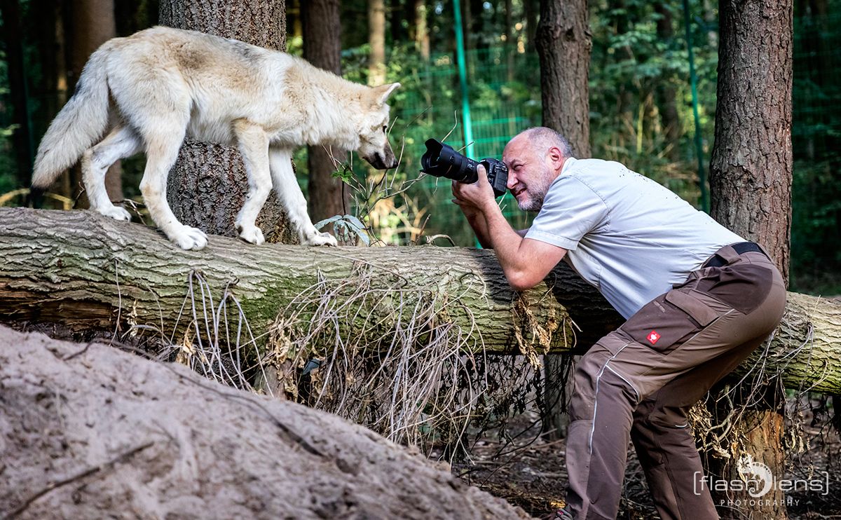 Wolfcenter 021