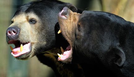 Zoo Krefeld