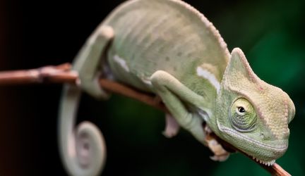 Terrazoo Rheinberg