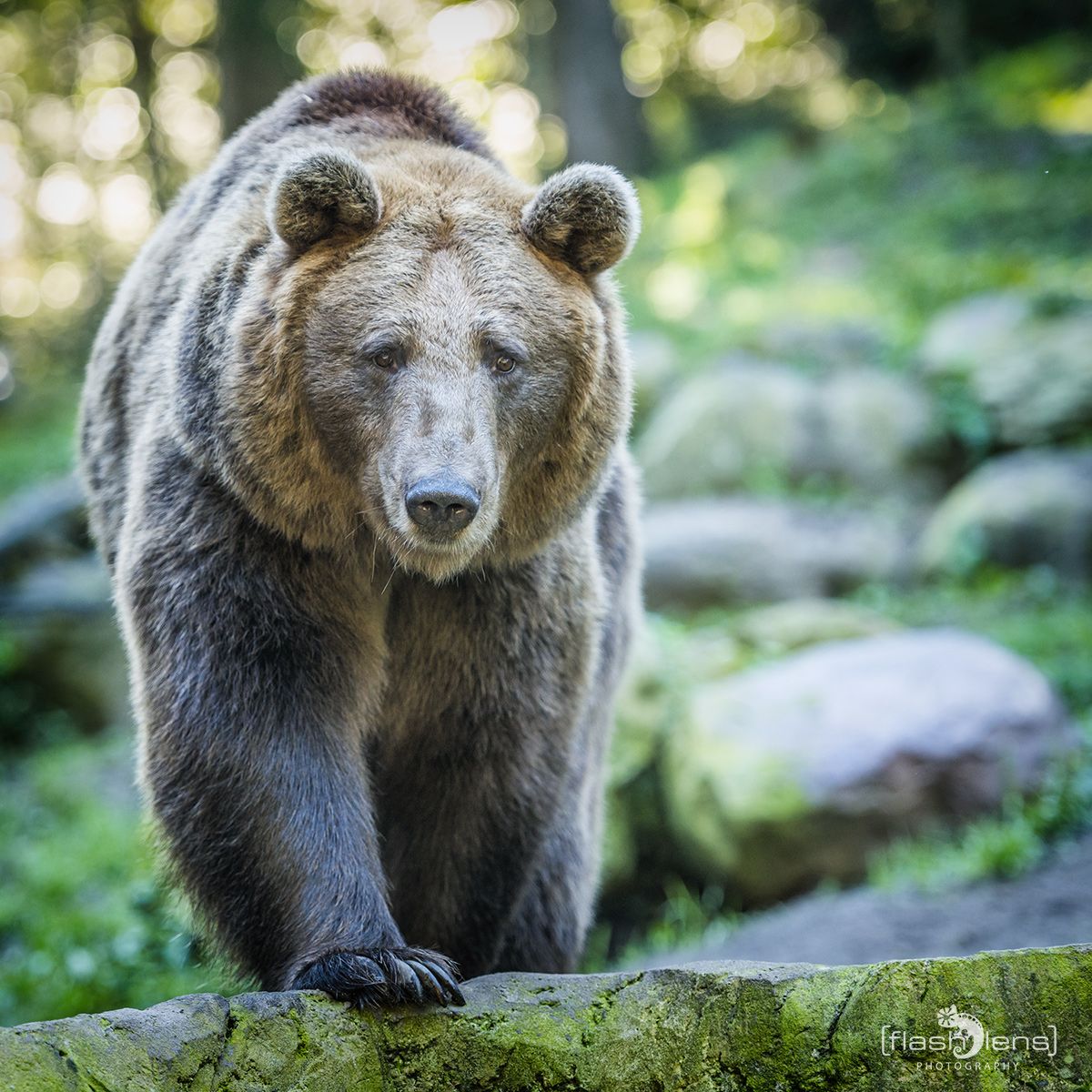 Wildtierpark Heide 004