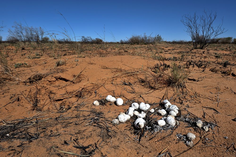 Galerie 01 Mabuasehube 15