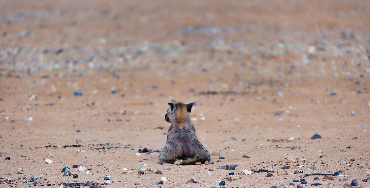 Galerie 01 Mabuasehube 28