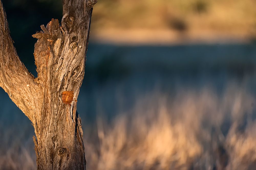 Galerie 02 Maputi 04