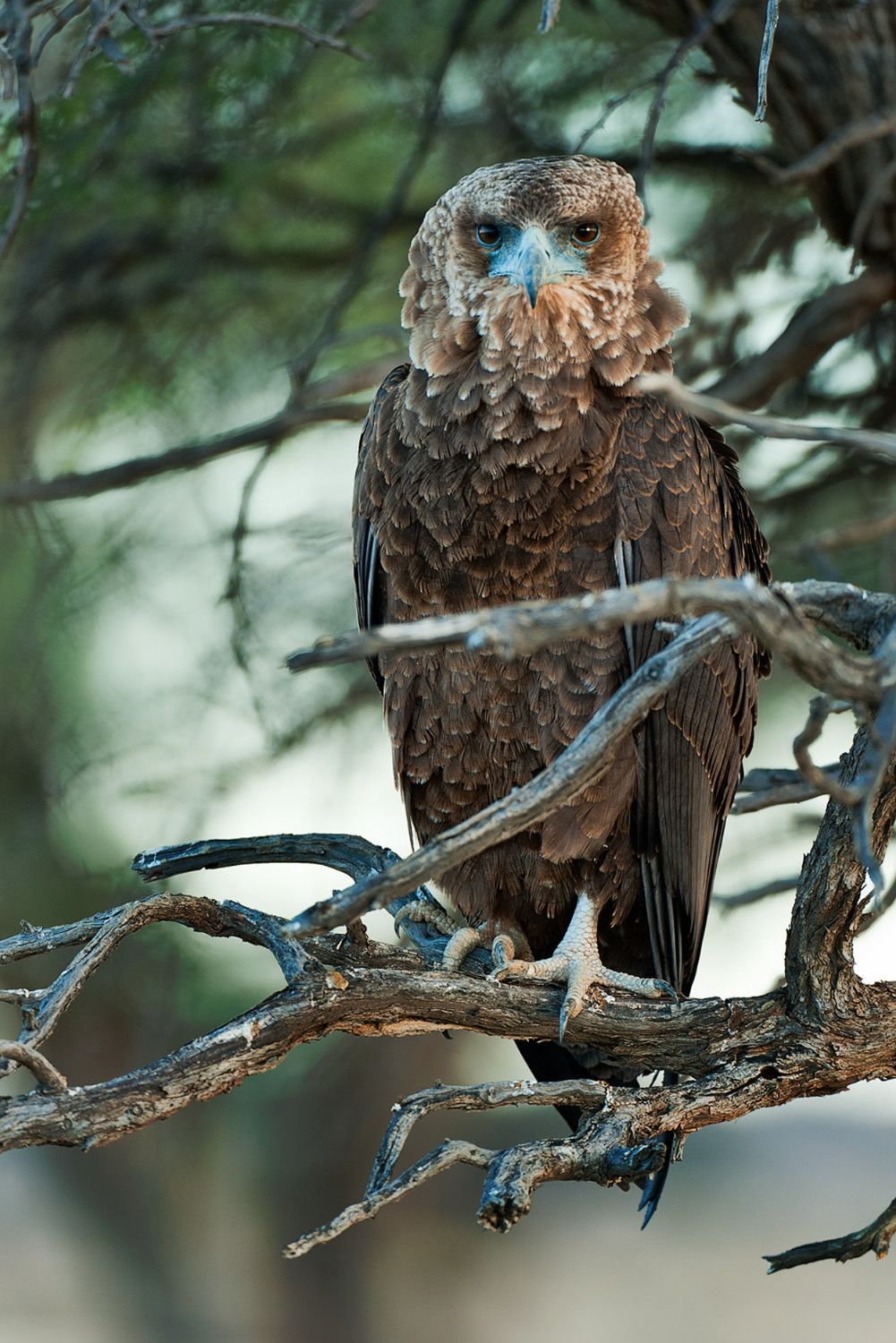 Galerie 03 Polentswa 13