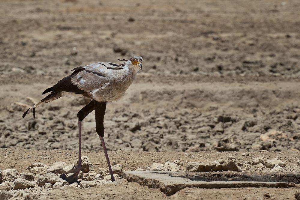 Galerie 03 Polentswa 15