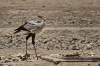 Galerie 03 Polentswa 15