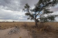 Galerie 03 Polentswa 19