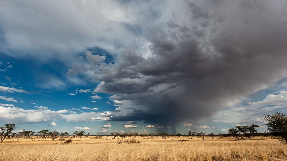 Galerie 03 Polentswa 20