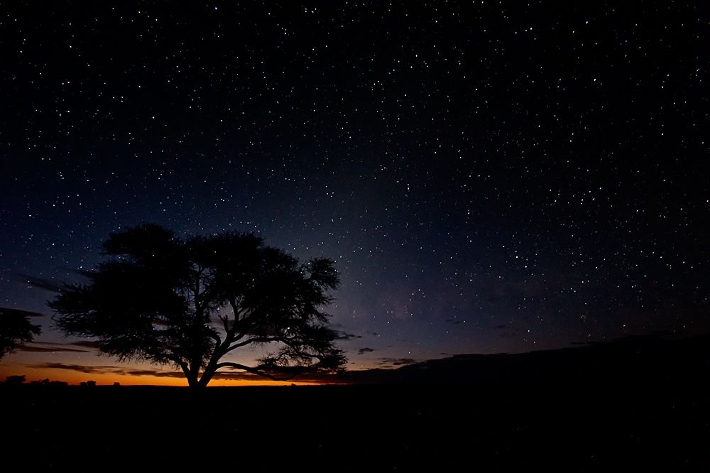 Galerie 03 Polentswa 23