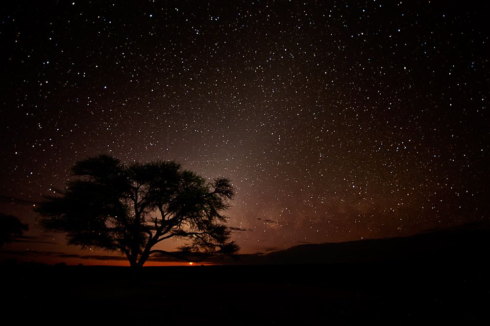 Galerie 03 Polentswa 24 1