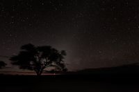 Galerie 03 Polentswa 25 1