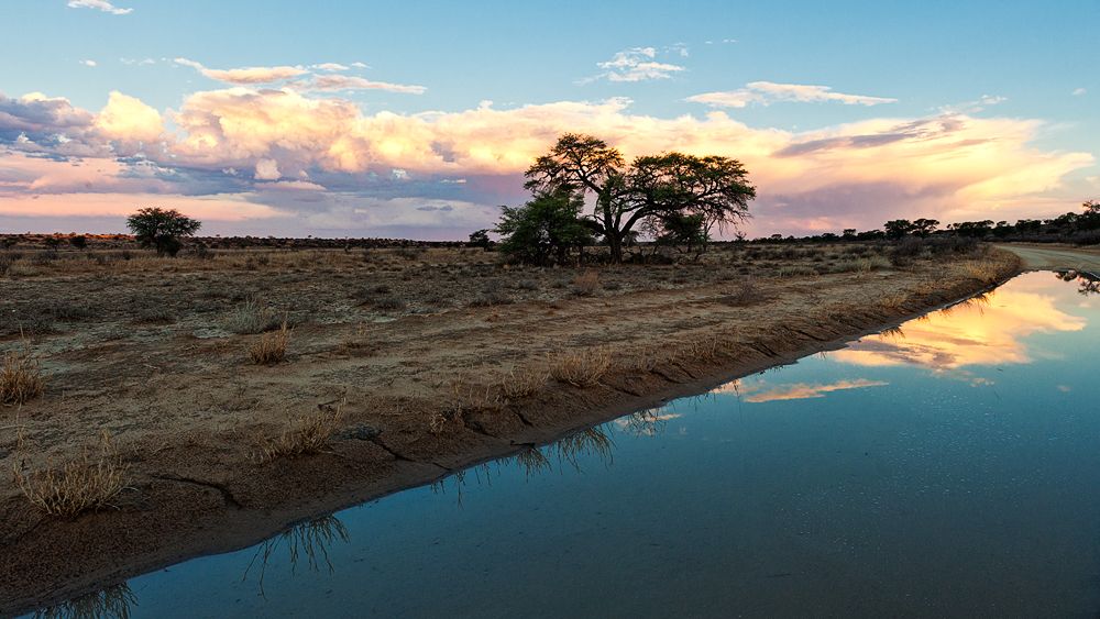 Galerie 04 Nossob 04