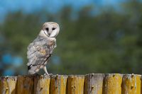 Galerie 05 Rooiputz 07