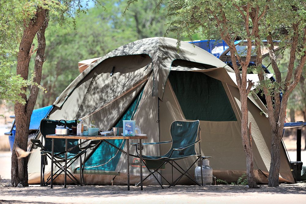 Galerie 06 Mata Mata 01