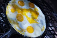 Galerie 06 Mata Mata 03