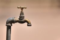 Galerie 06 Mata Mata 05