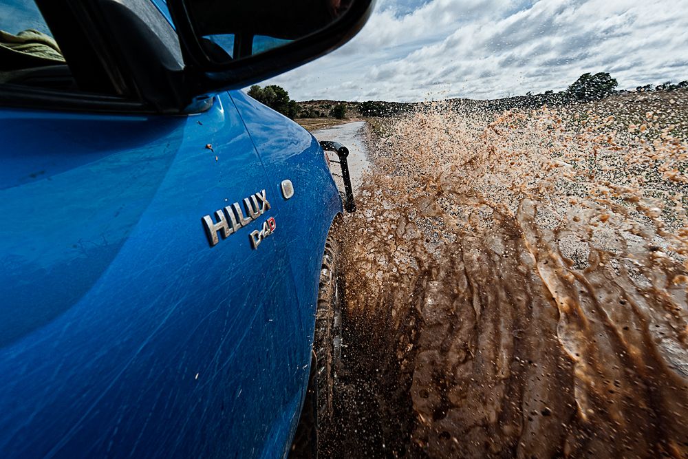 Galerie 06 Mata Mata 31