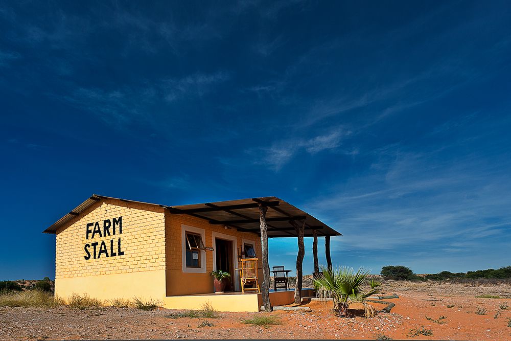 Galerie 06 Mata Mata 32