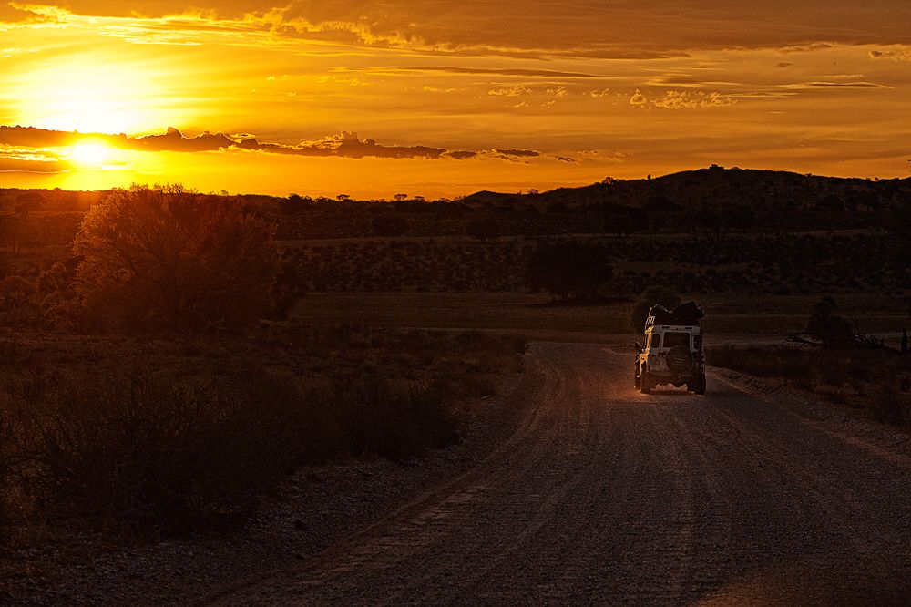 Galerie 06 Mata Mata 33