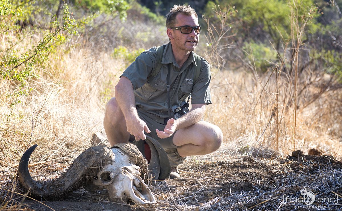 Safari Guide Kurs 016