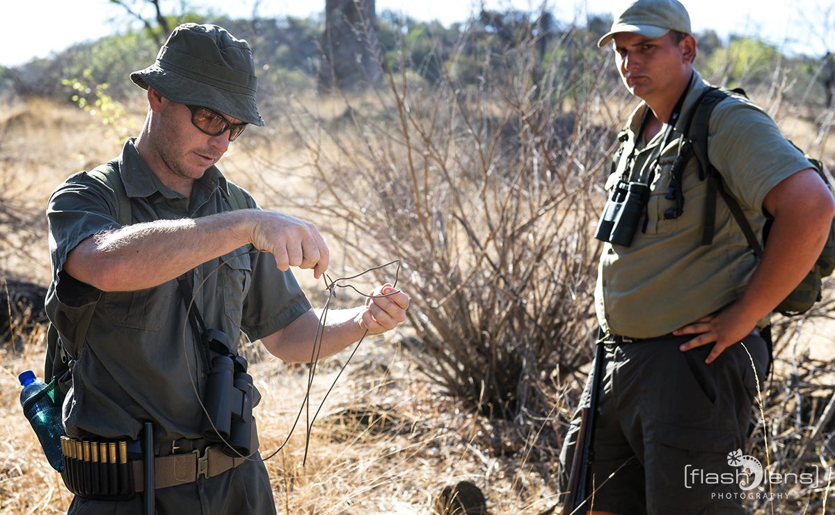 Safari Guide Kurs 017