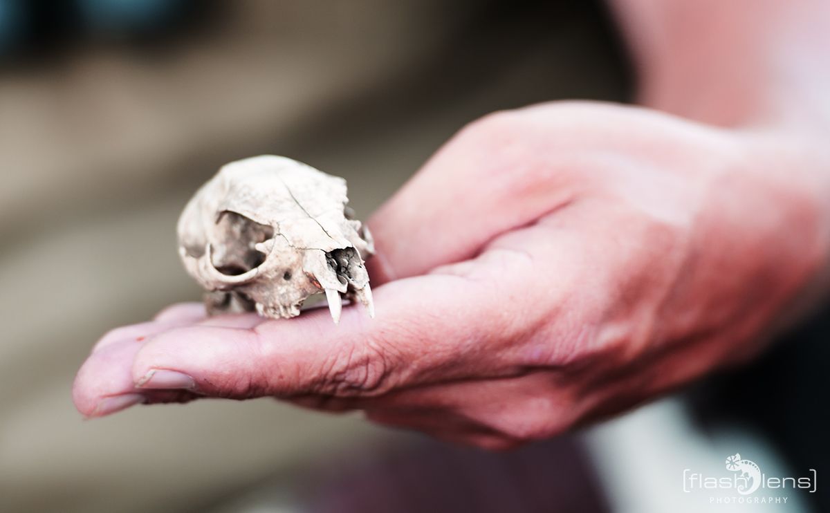 Safari Guide Kurs 019