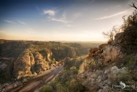 Safari Guide Kurs 057