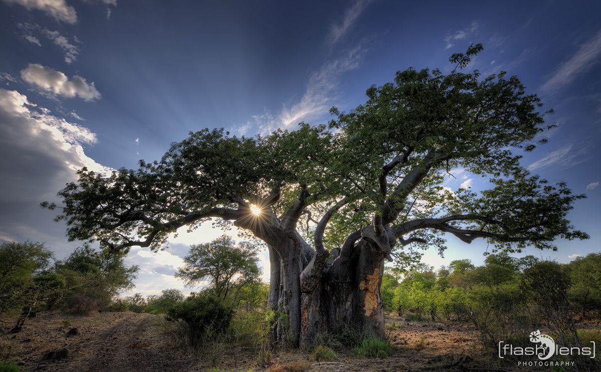 Safari Guide Kurs 072