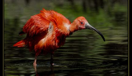 Allwetterzoo Münster