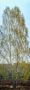 archivbild 60 x 180cm
