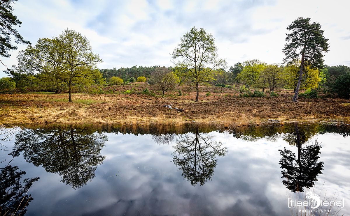 wahner heide
