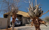 02 etosha