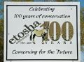 02 etosha