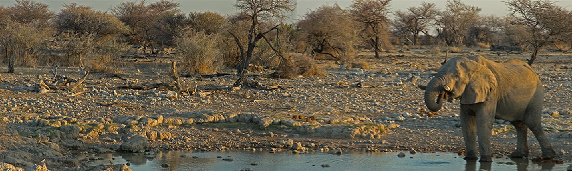 02 etosha