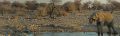 02 etosha