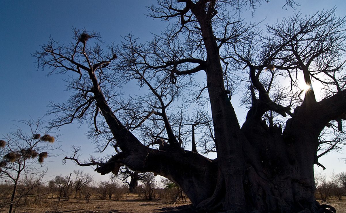 03 tsumkwe