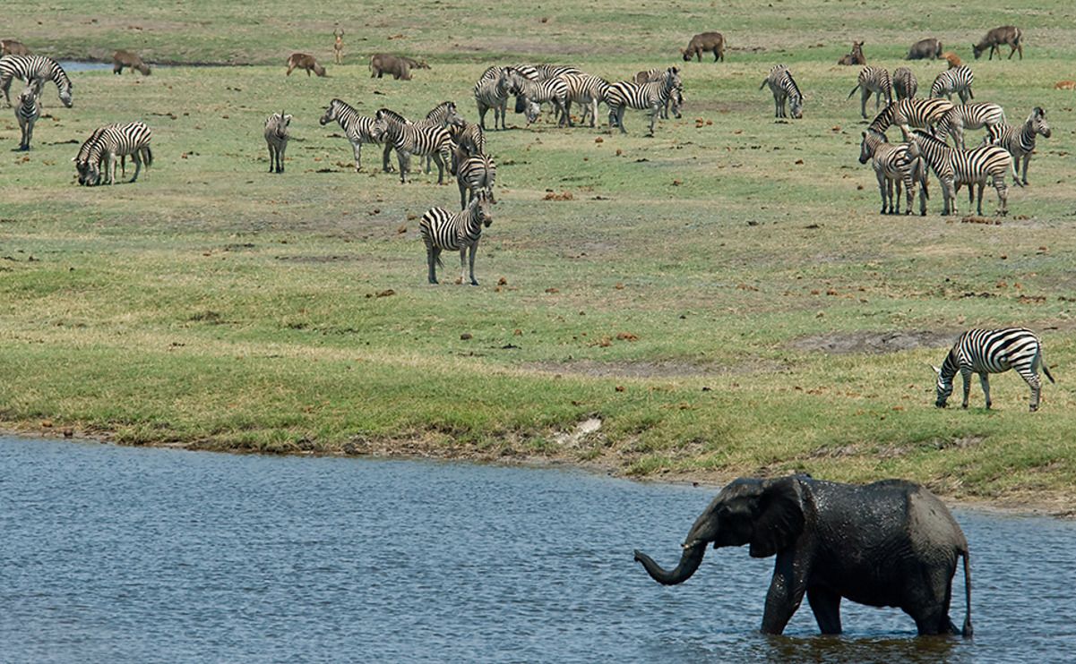 08 chobe river